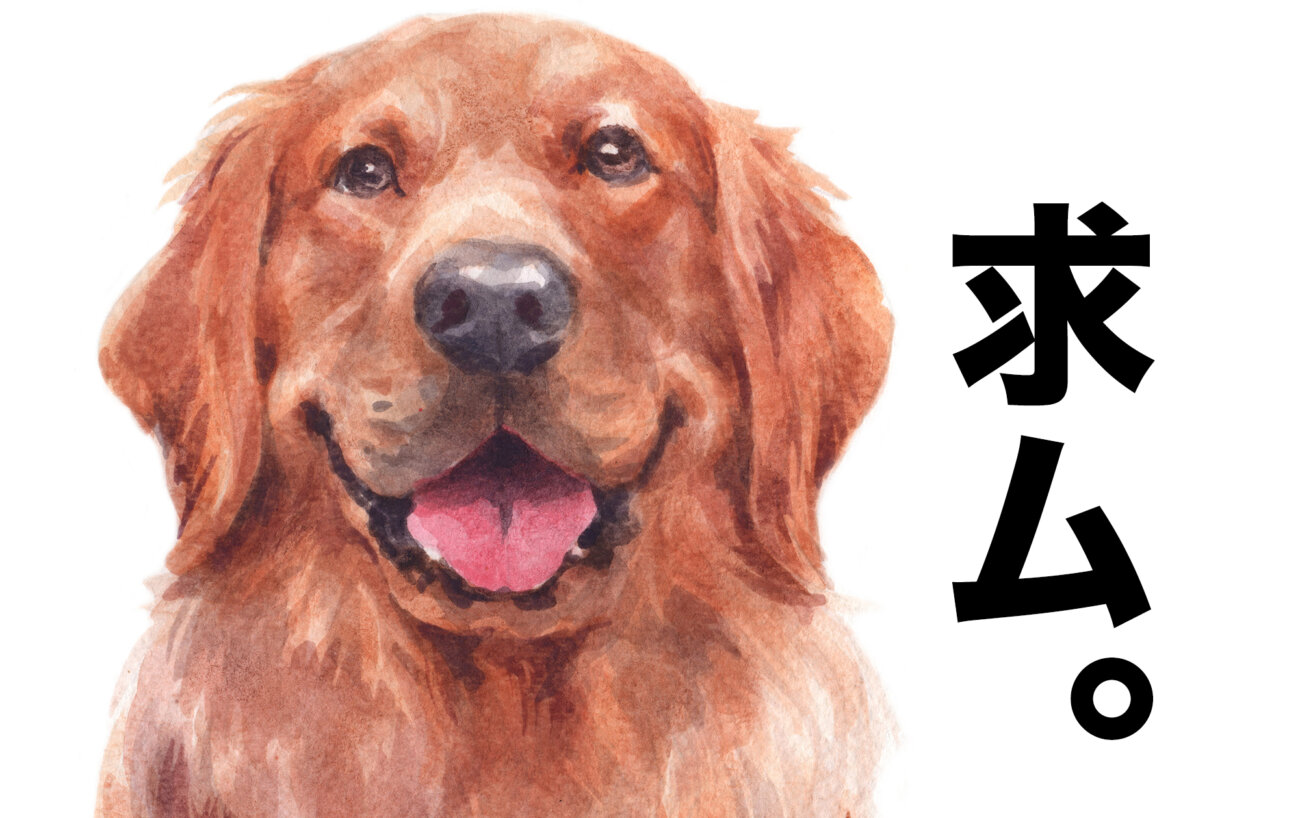 レトリーバー,パナソニック,ジアイーノ