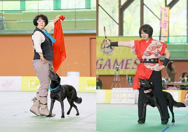 ラブラドールレトリーバー,ドッグダンス