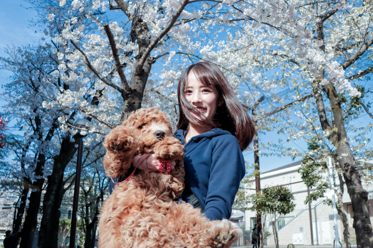 ラブラドゥードル,りなりー,TikTok