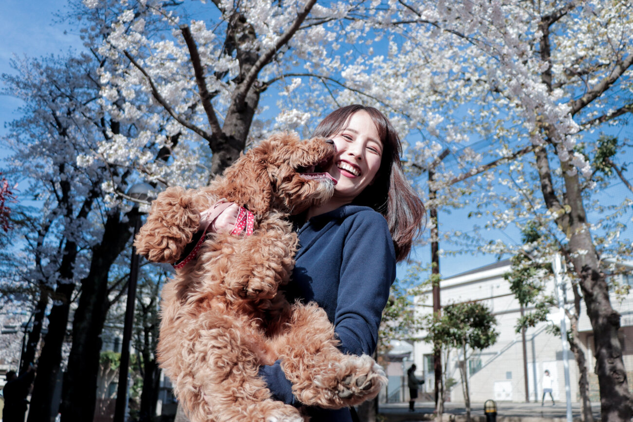 ラブラドゥードル,りなりー,TikTok