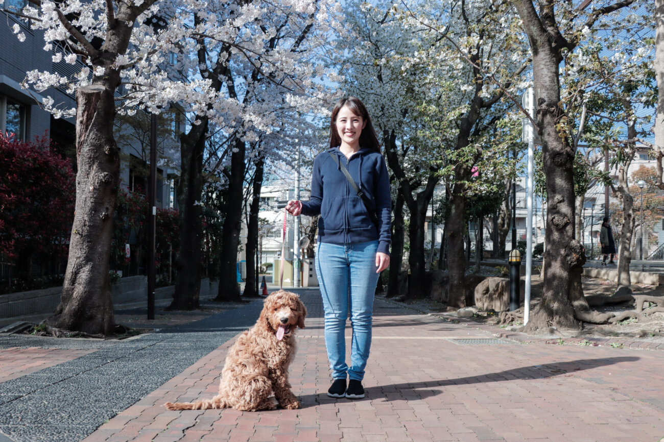 ラブラドゥードル,りなりー,TikTok