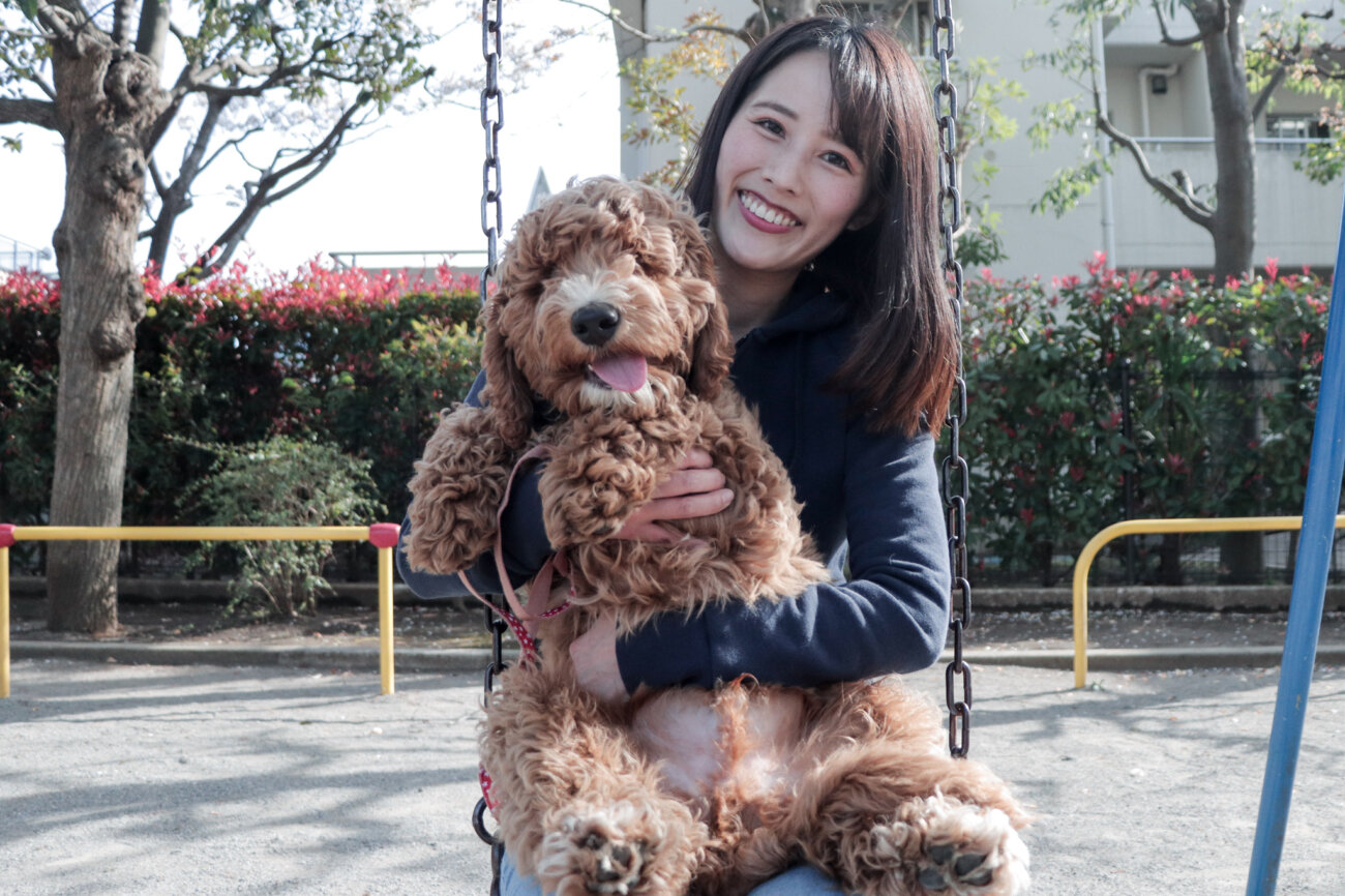 ラブラドゥードル,りなりー,TikTok