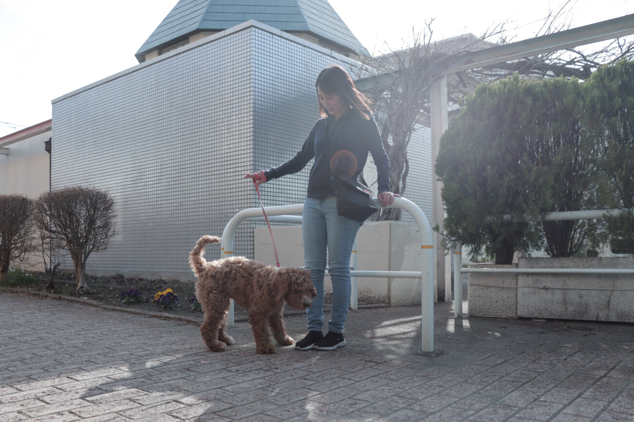 ラブラドゥードル,りなりー,TikTok