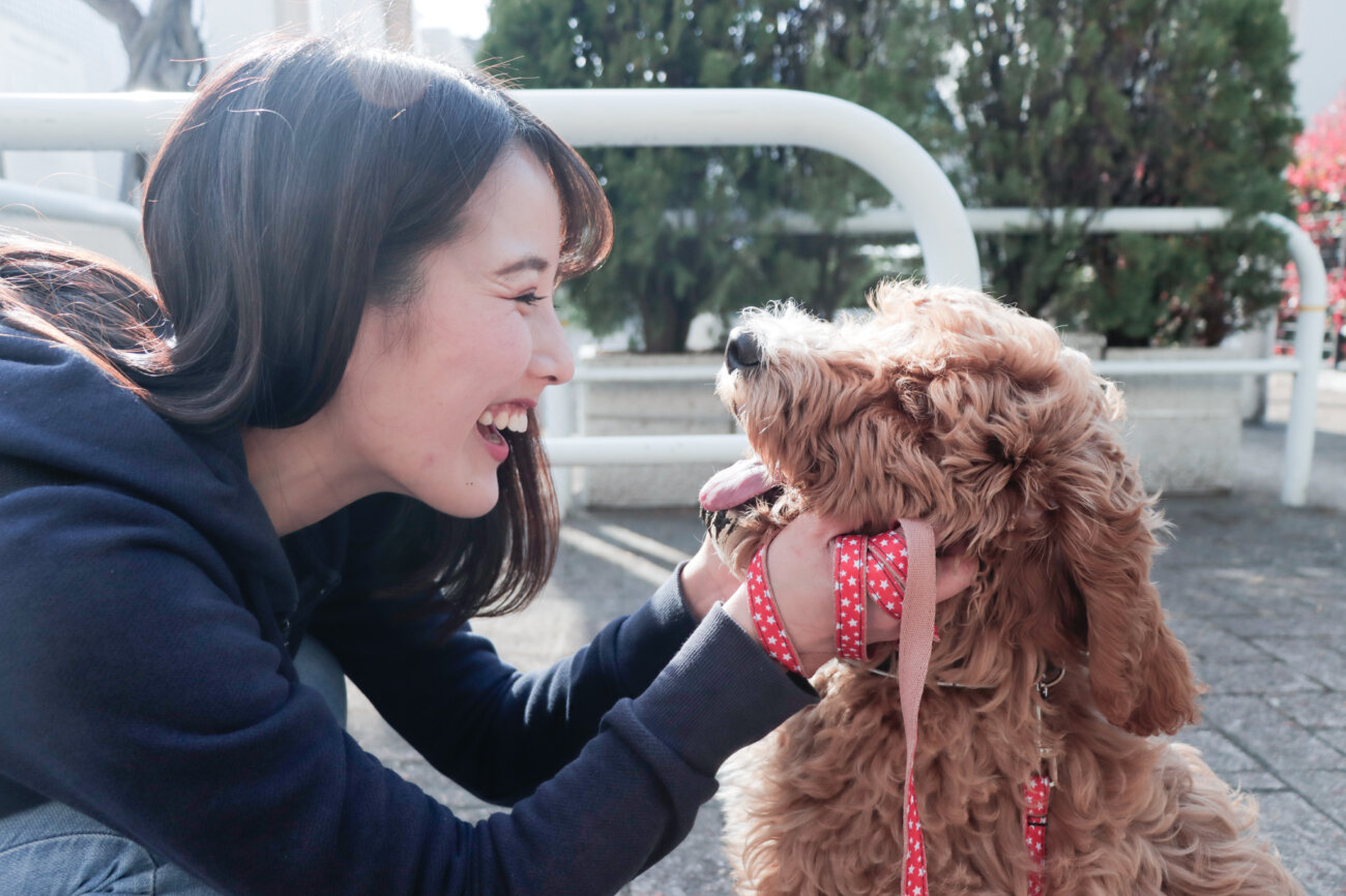 ラブラドゥードル,りなりー,TikTok