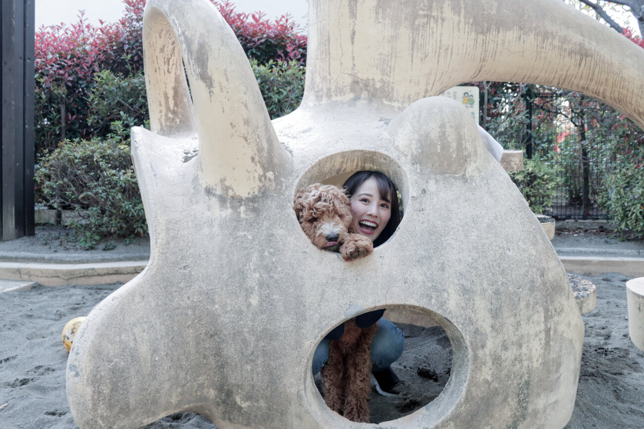 ラブラドゥードル,りなりー,TikTok