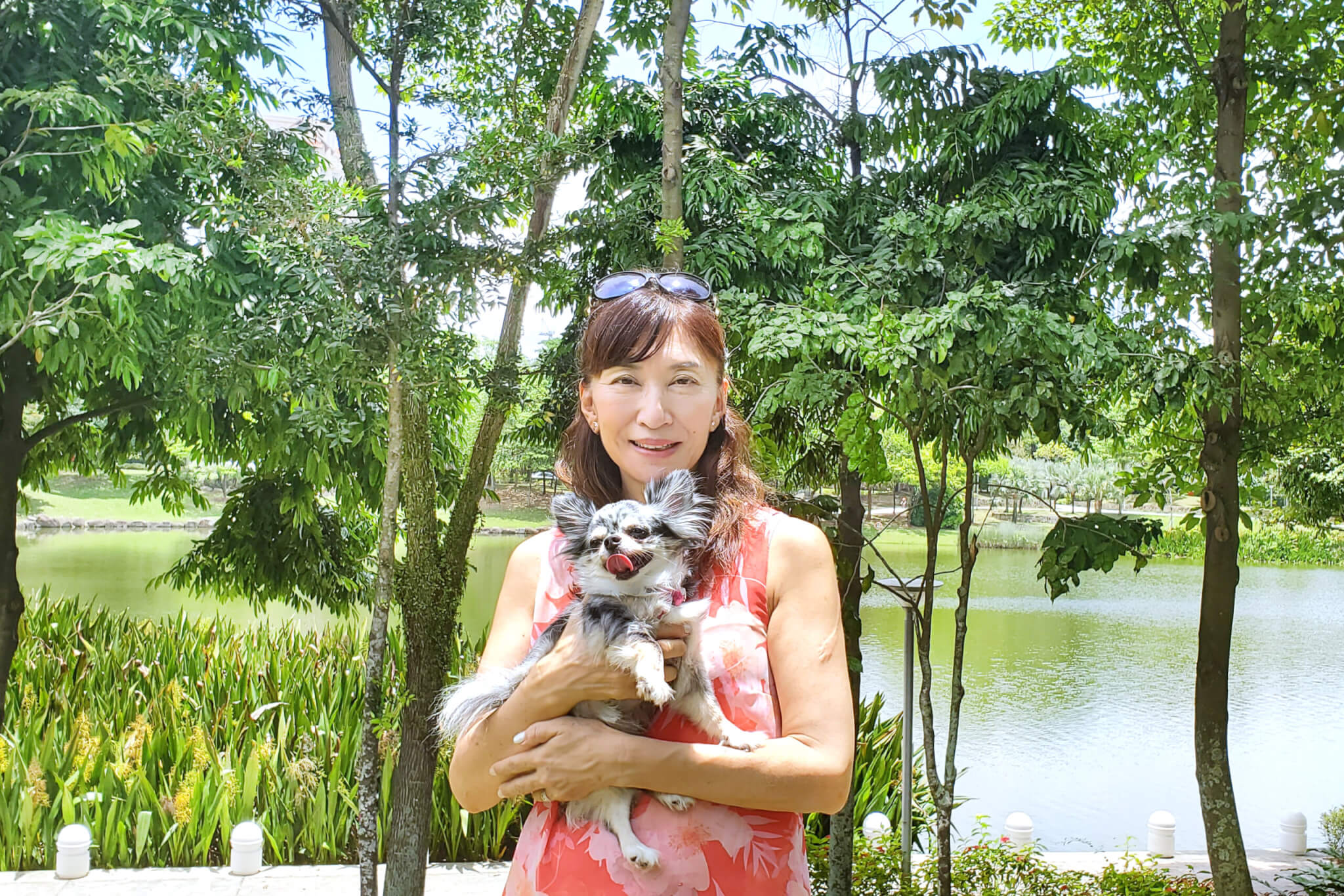 レトリーバー,グリーフケア