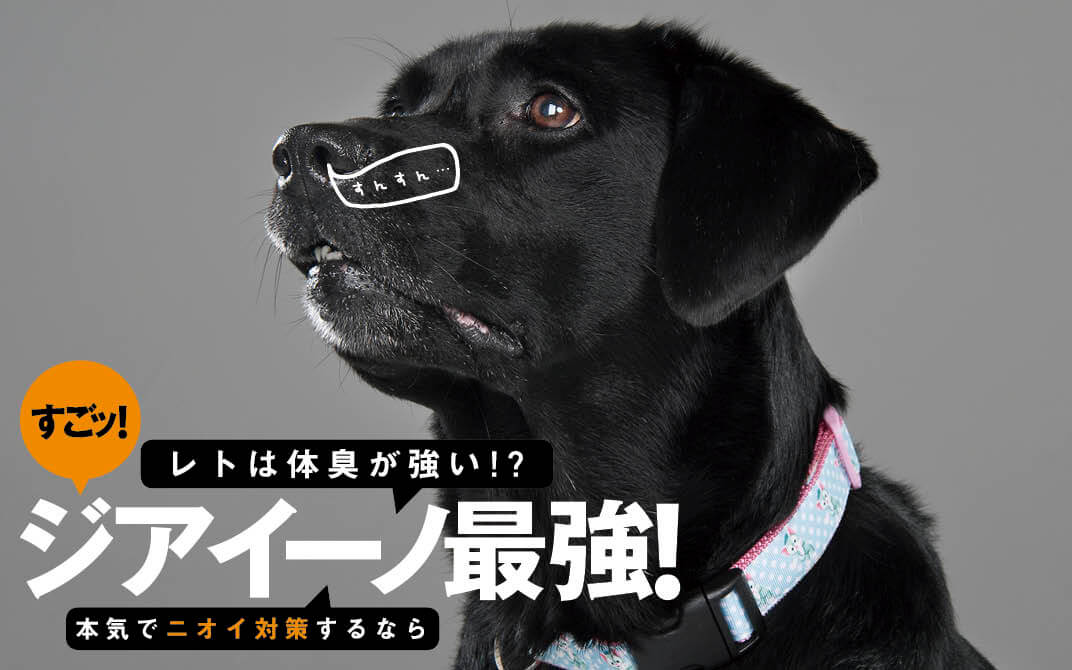 レトリーバー,パナソニック,ジアイーノ