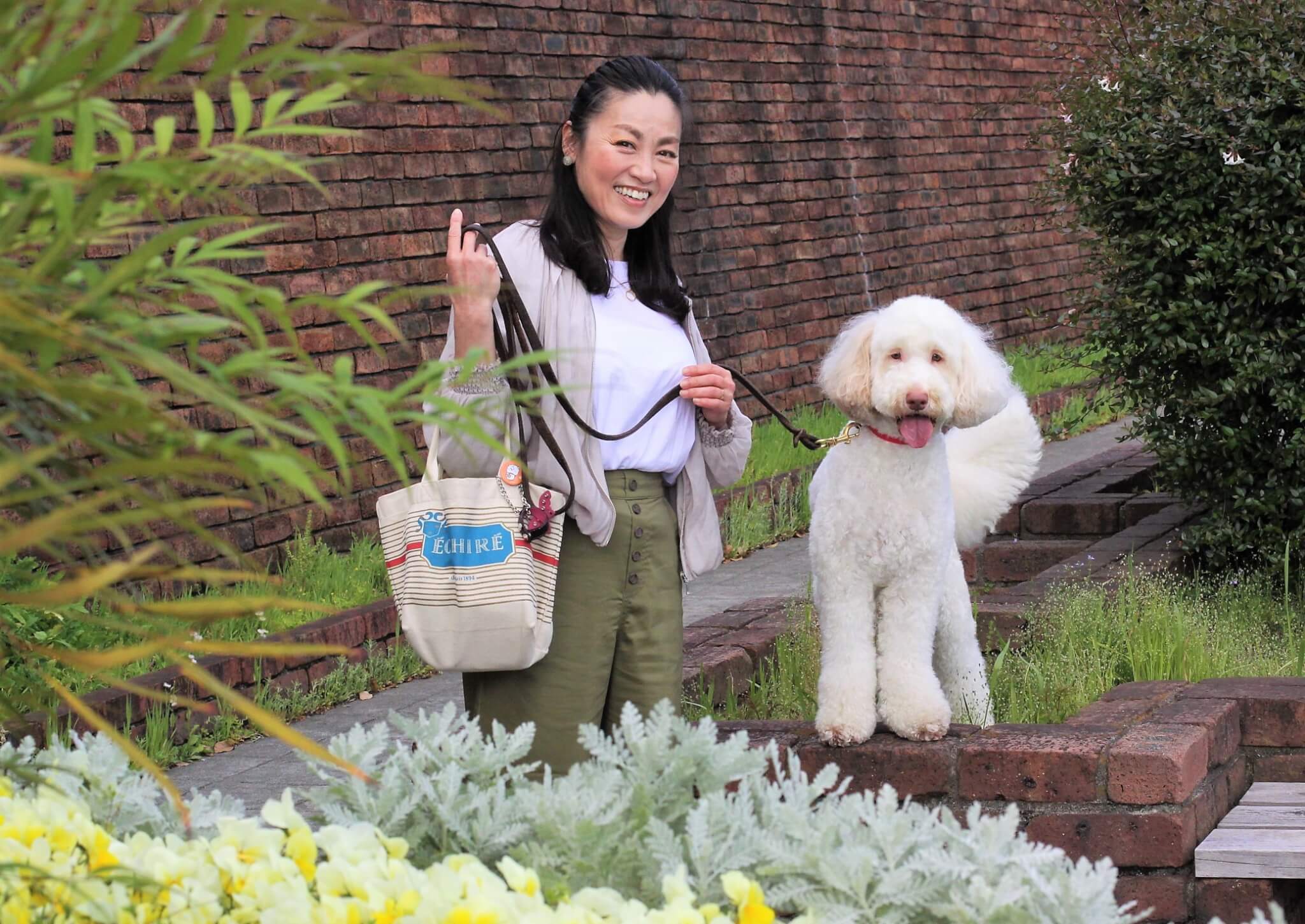 ゴルの魅力,ラブの引力,育犬,多頭飼い