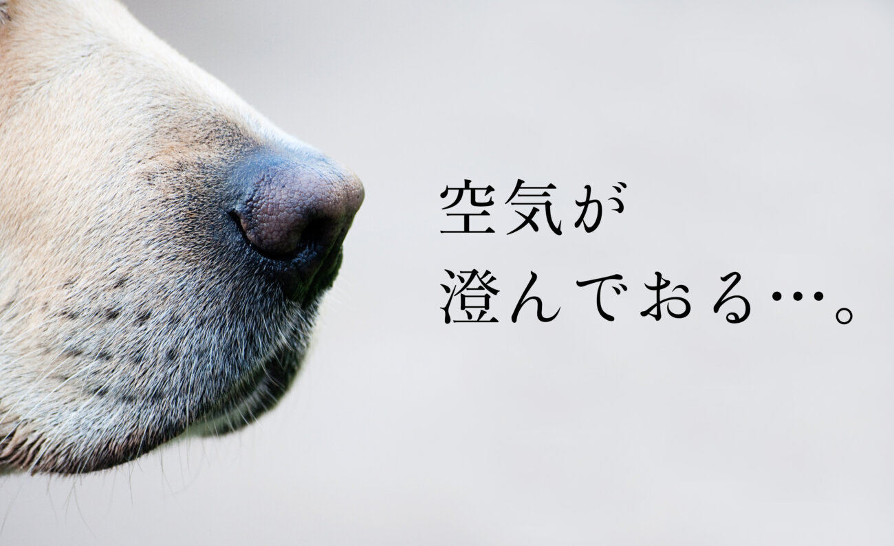 レトリーバー,パナソニック,ジアイーノ