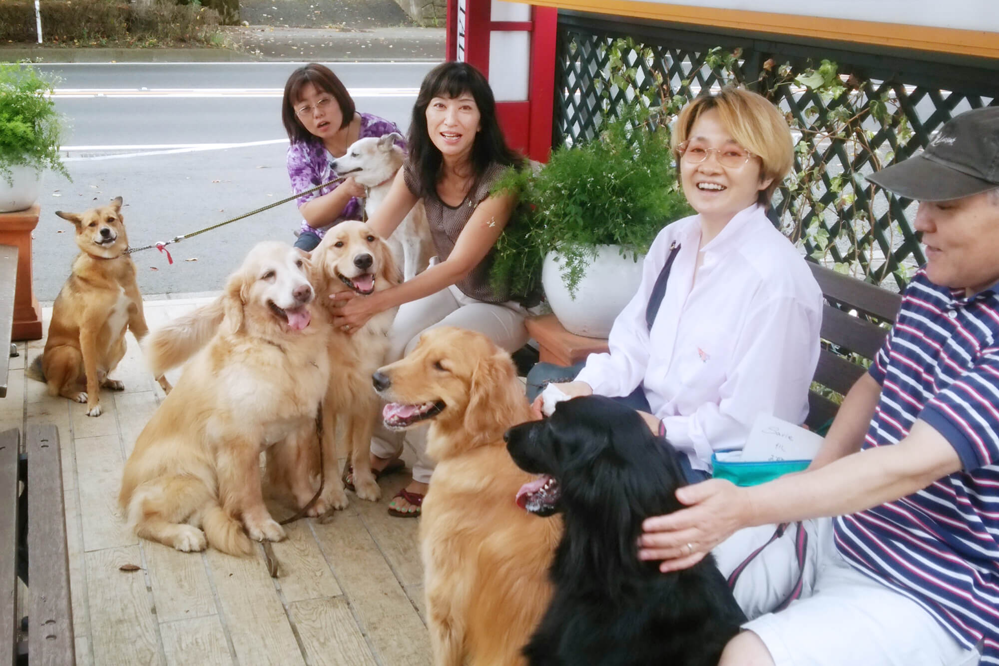 レトリーバー,グリーフケア