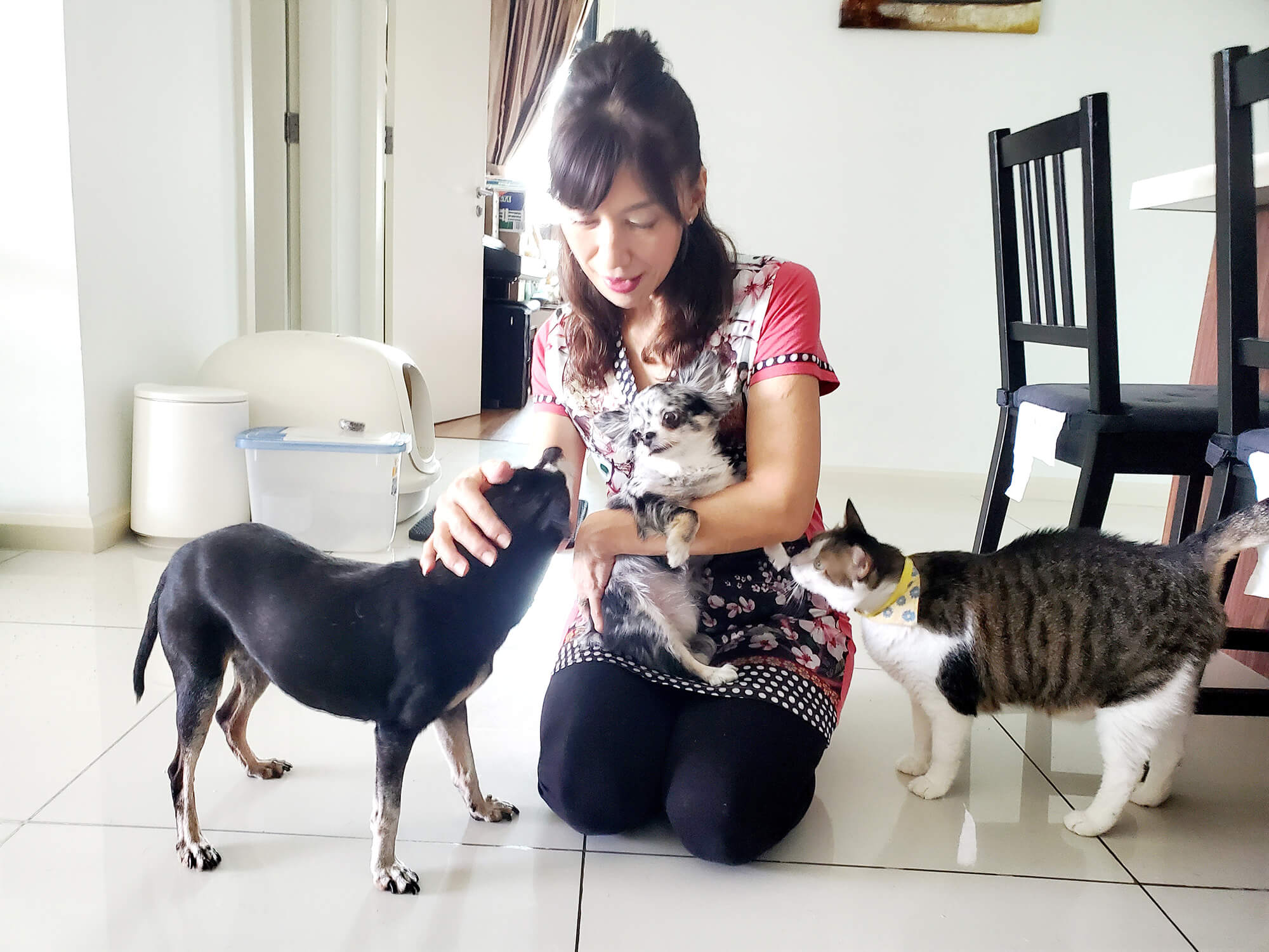 レトリーバー,グリーフケア