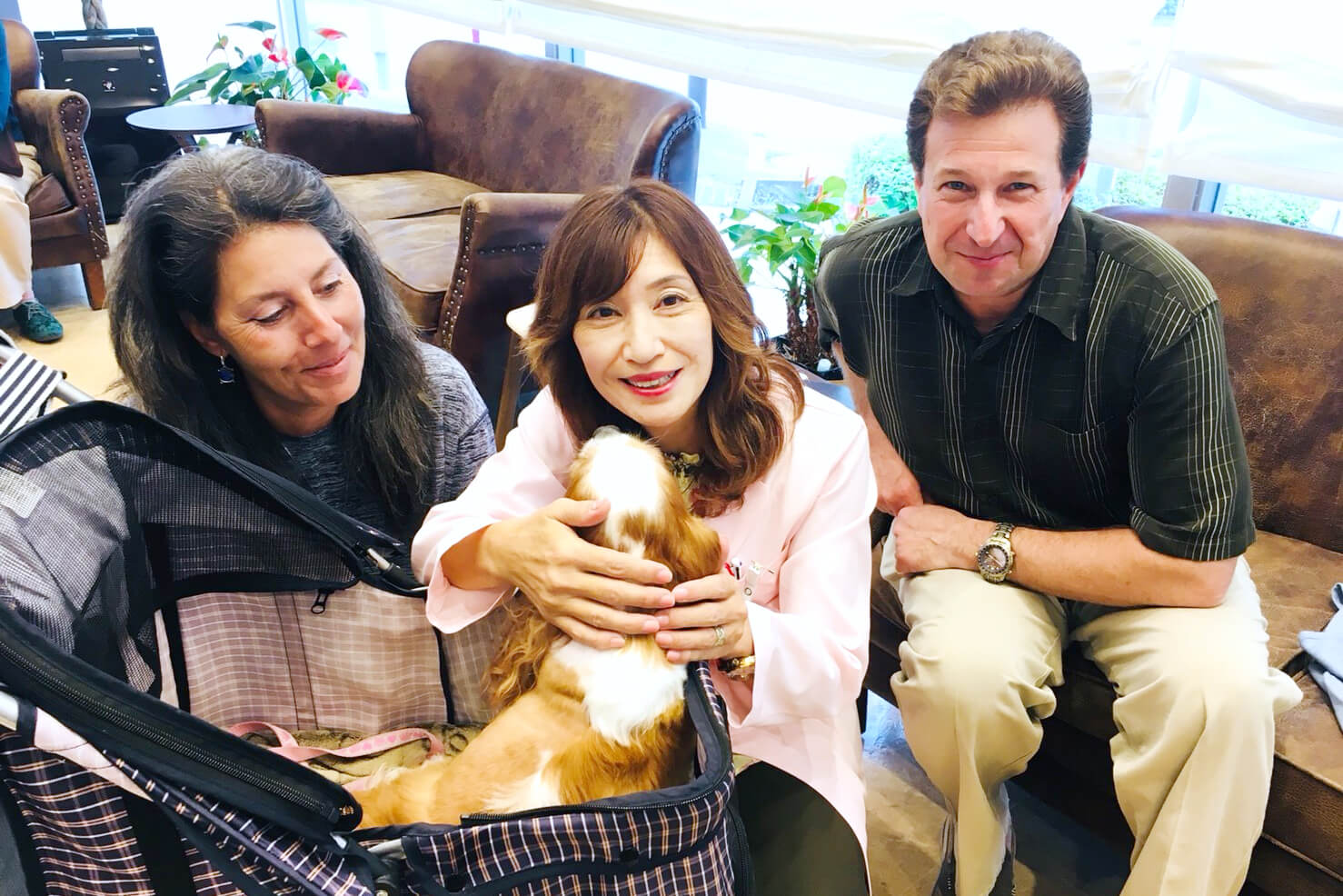 レトリーバー,グリーフケア