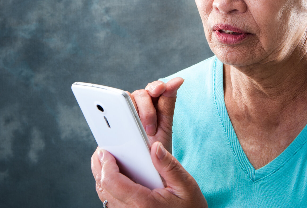 レトリーバー,フード,オリジン