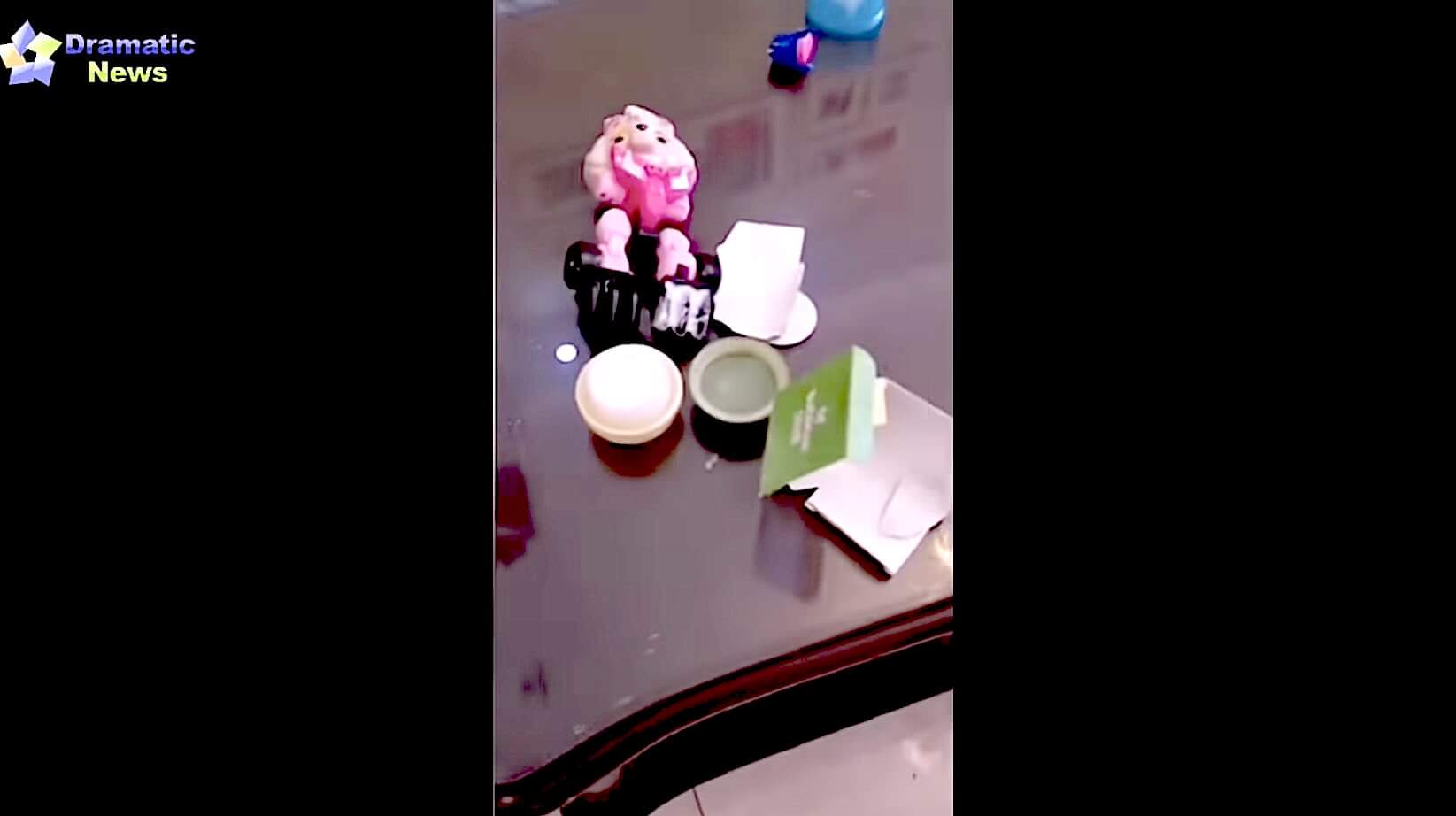 ゴールデンレトリーバー,動画