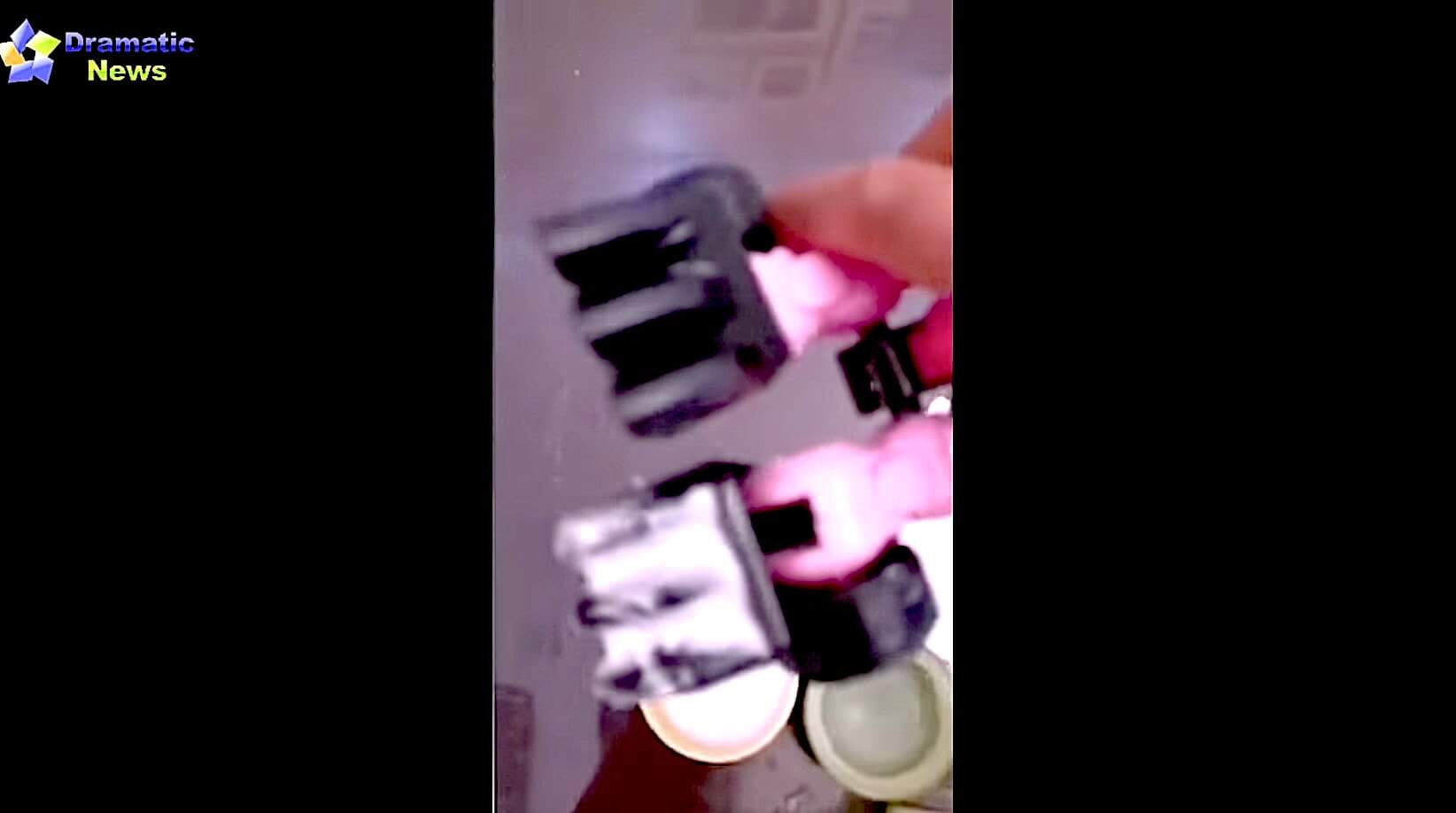 ゴールデンレトリーバー,動画