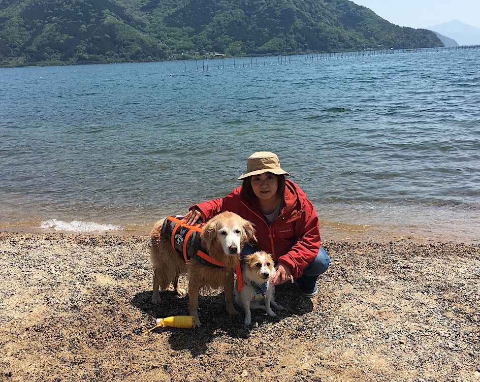 ゴールデンレトリーバーとジャックラッセル