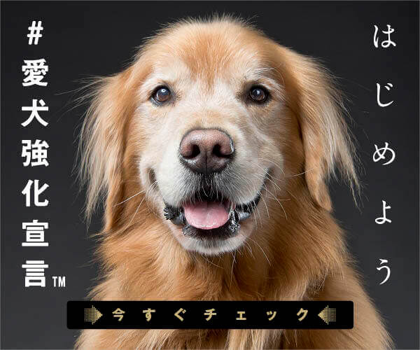 レトリーバー,Ta-Ta,タータ