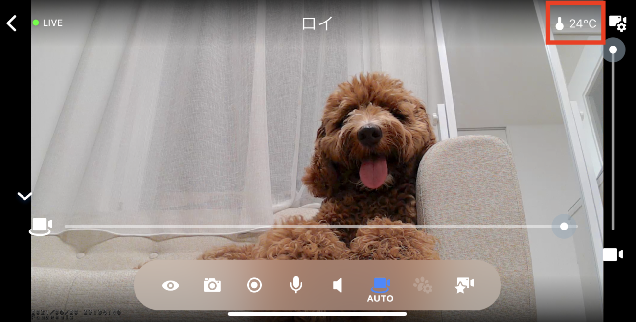 レトリーバー,パナソニック,hdペットカメラ
