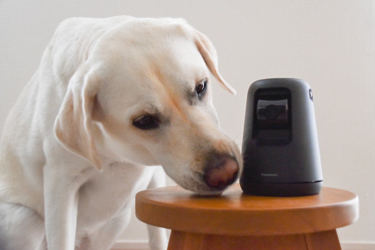 レトリーバー,パナソニック,hdペットカメラ