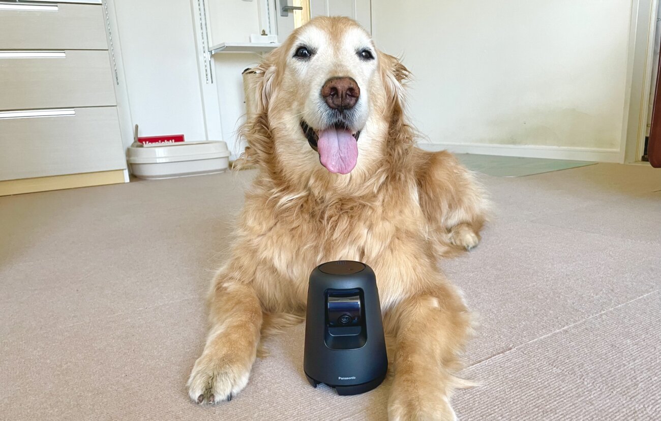 レトリーバー,パナソニック,hdペットカメラ