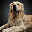 【特集】新・家術〜進化型家電と、新しい愛情物語