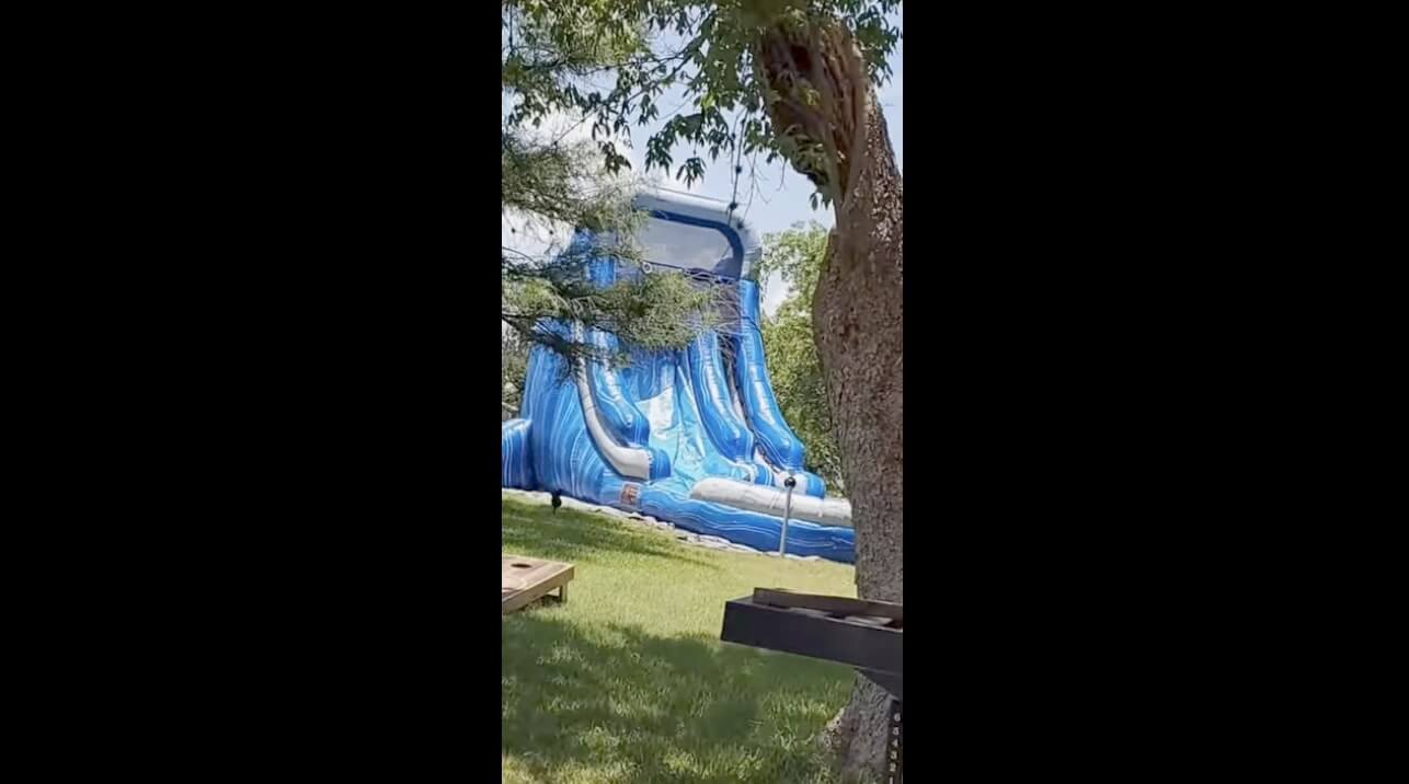 ラブラドールレトリーバー,動画