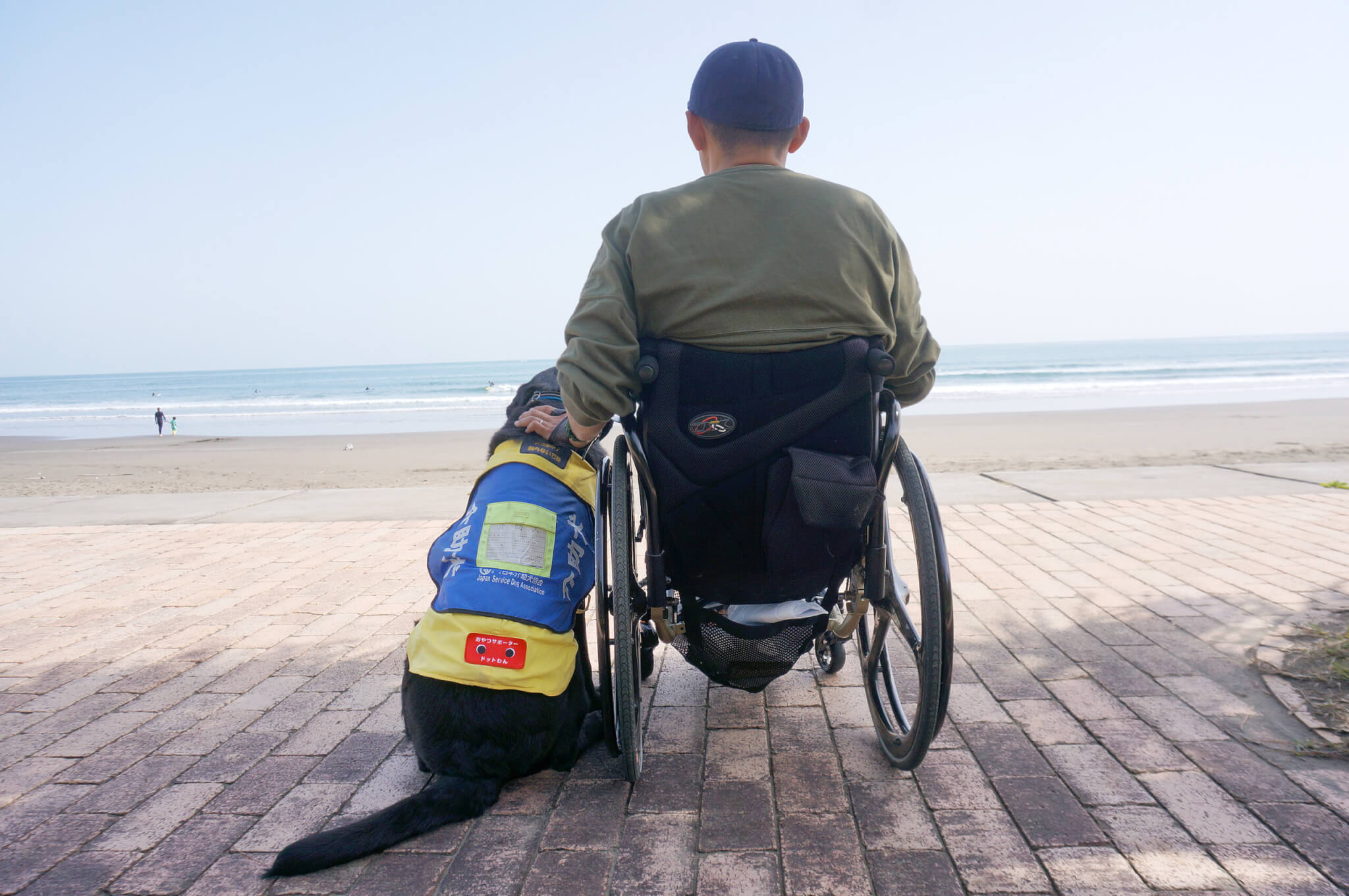 ラブラドール,介助犬,パラサーファー