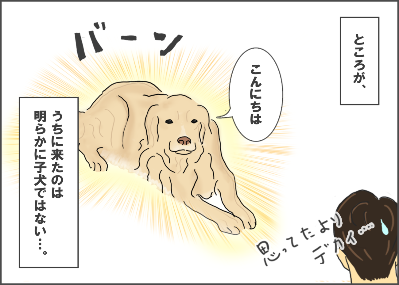 ゴールデンレトリーバー,マンガ