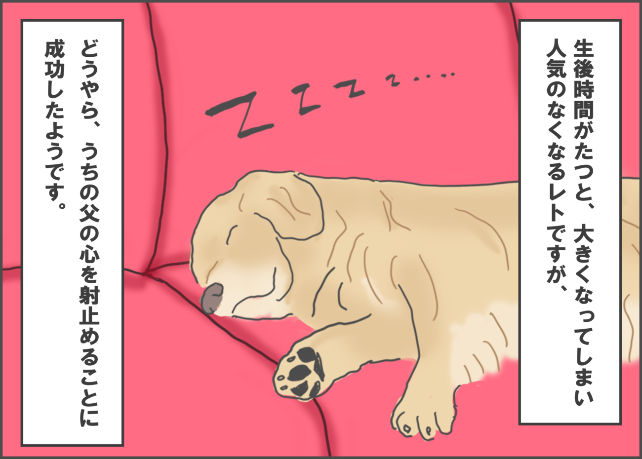 ゴールデンレトリーバー,マンガ