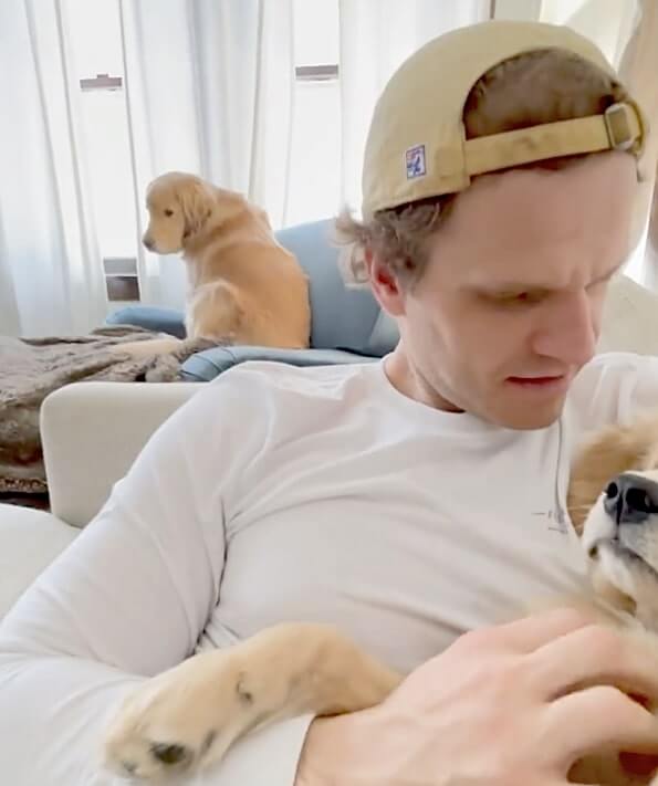 ゴールデンレトリーバー,動画