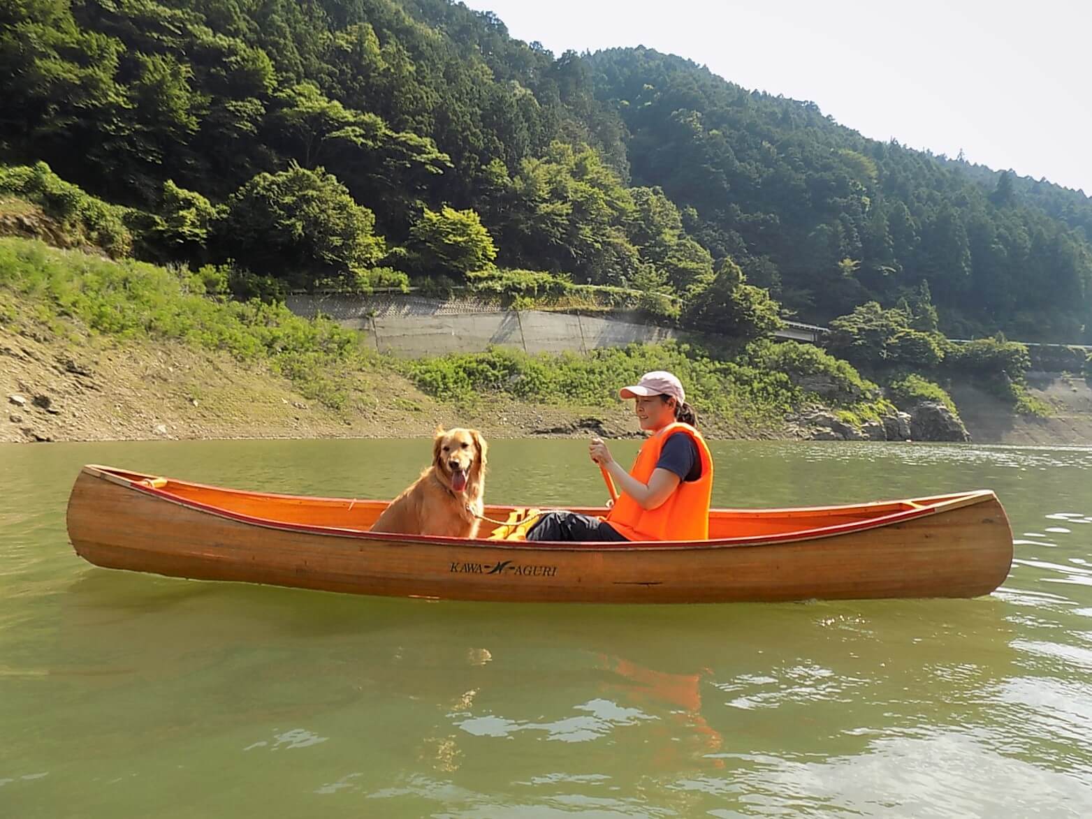 レトリーバー,取材,海外