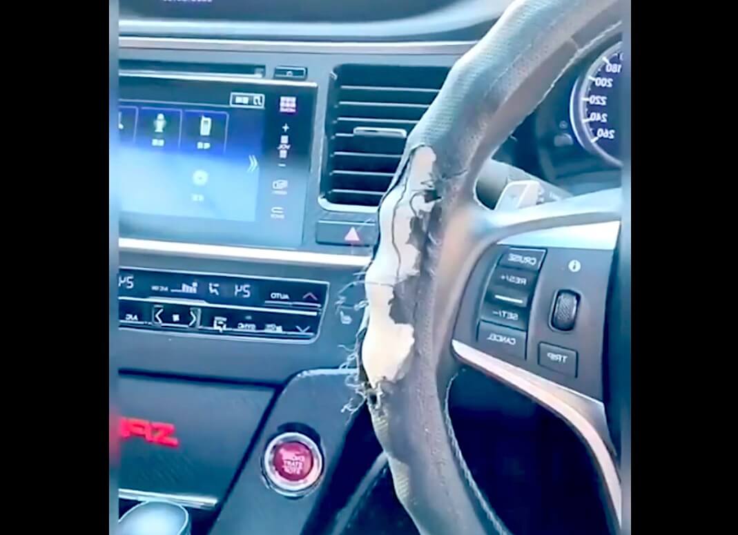 ゴールデンレトリーバー,動画