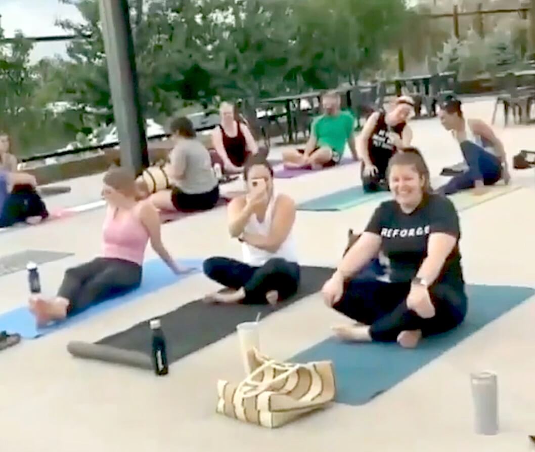 ゴールデンレトリーバー,動画