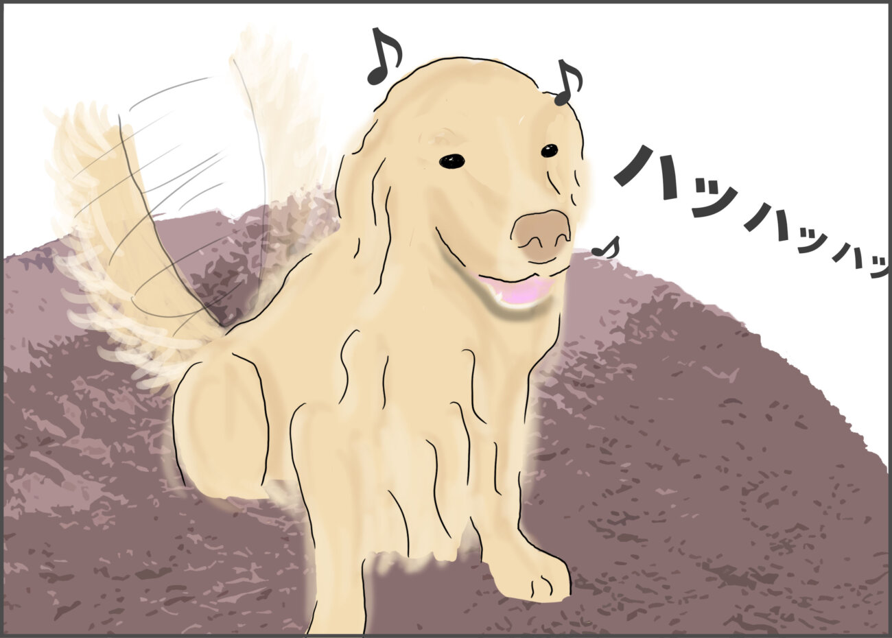 ゴールデンレトリーバー,父は今日もレトバカです