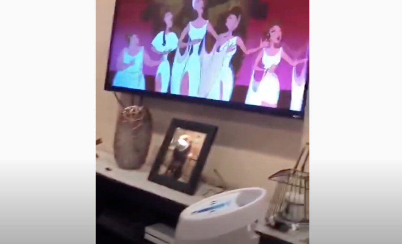 ゴールデンレトリーバー,動画