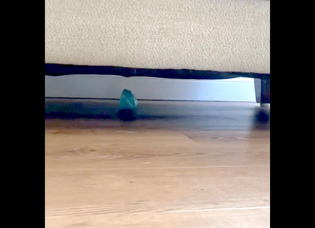 ラブラドールレトリーバー,動画