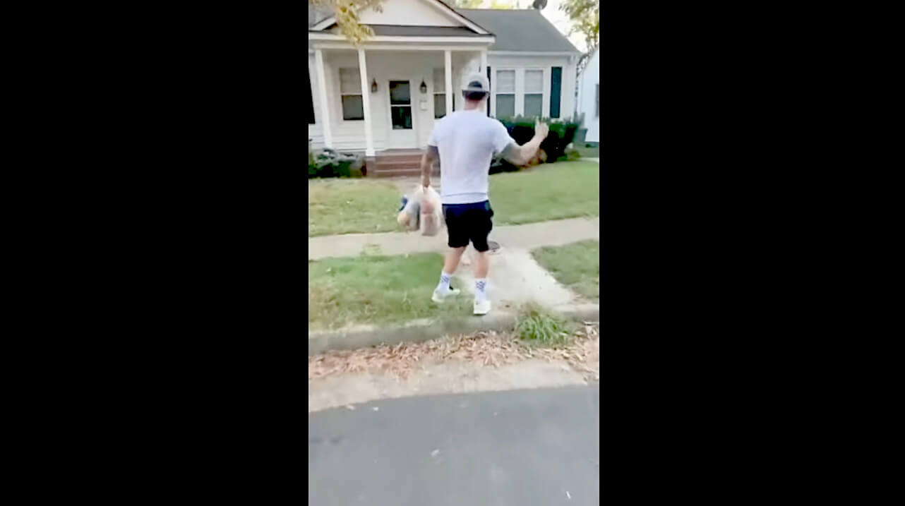 ゴールデンレトリーバー,動画