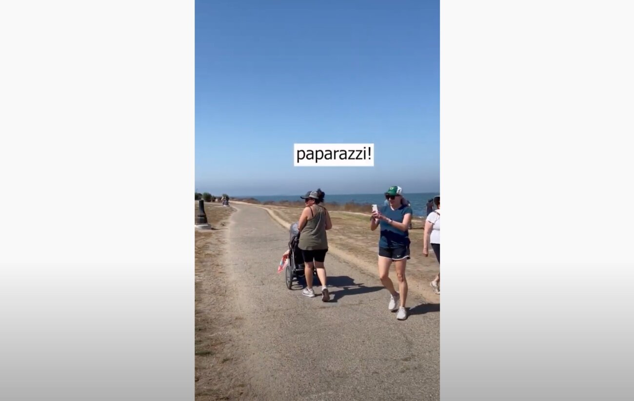 ゴールデンレトリーバー,動画