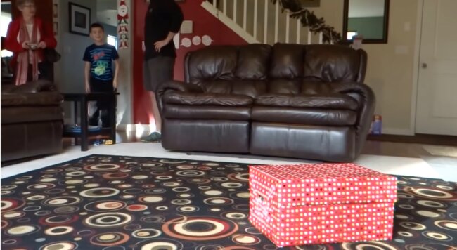 ラブラドールレトリーバー,動画