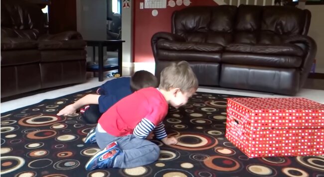 ラブラドールレトリーバー,動画