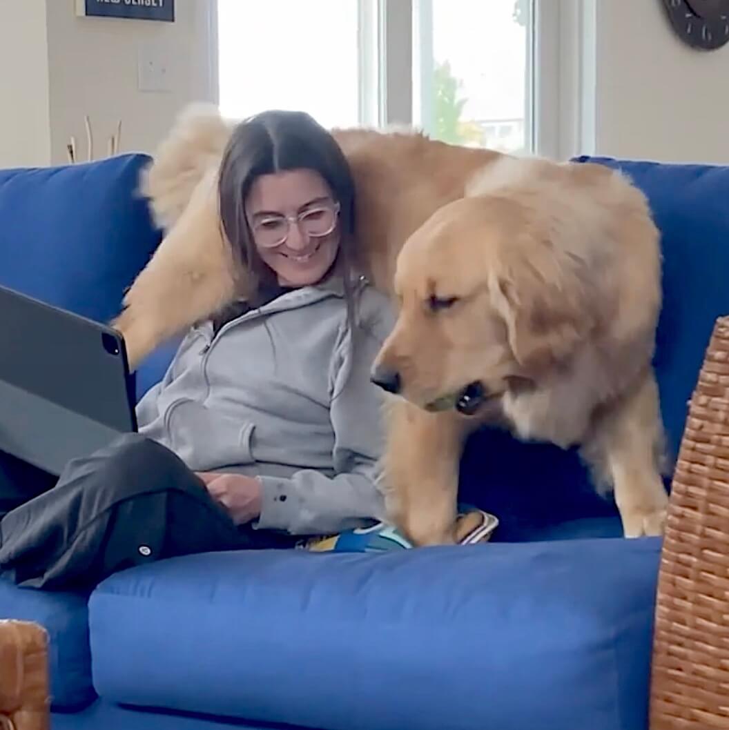 ゴールデンレトリーバー,動画