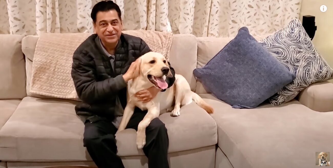 ラブラドールレトリーバー,動画