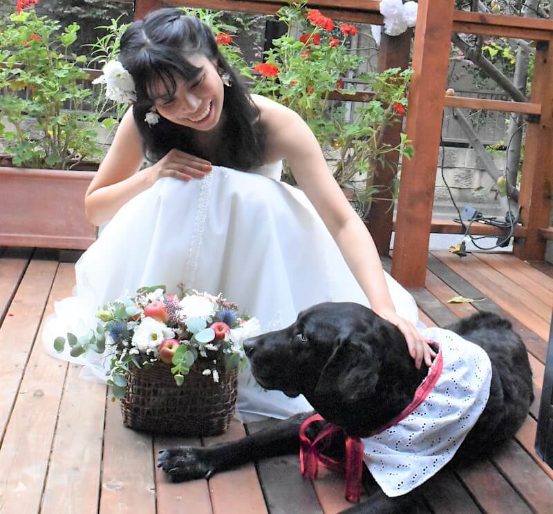 黒ラブとその家族