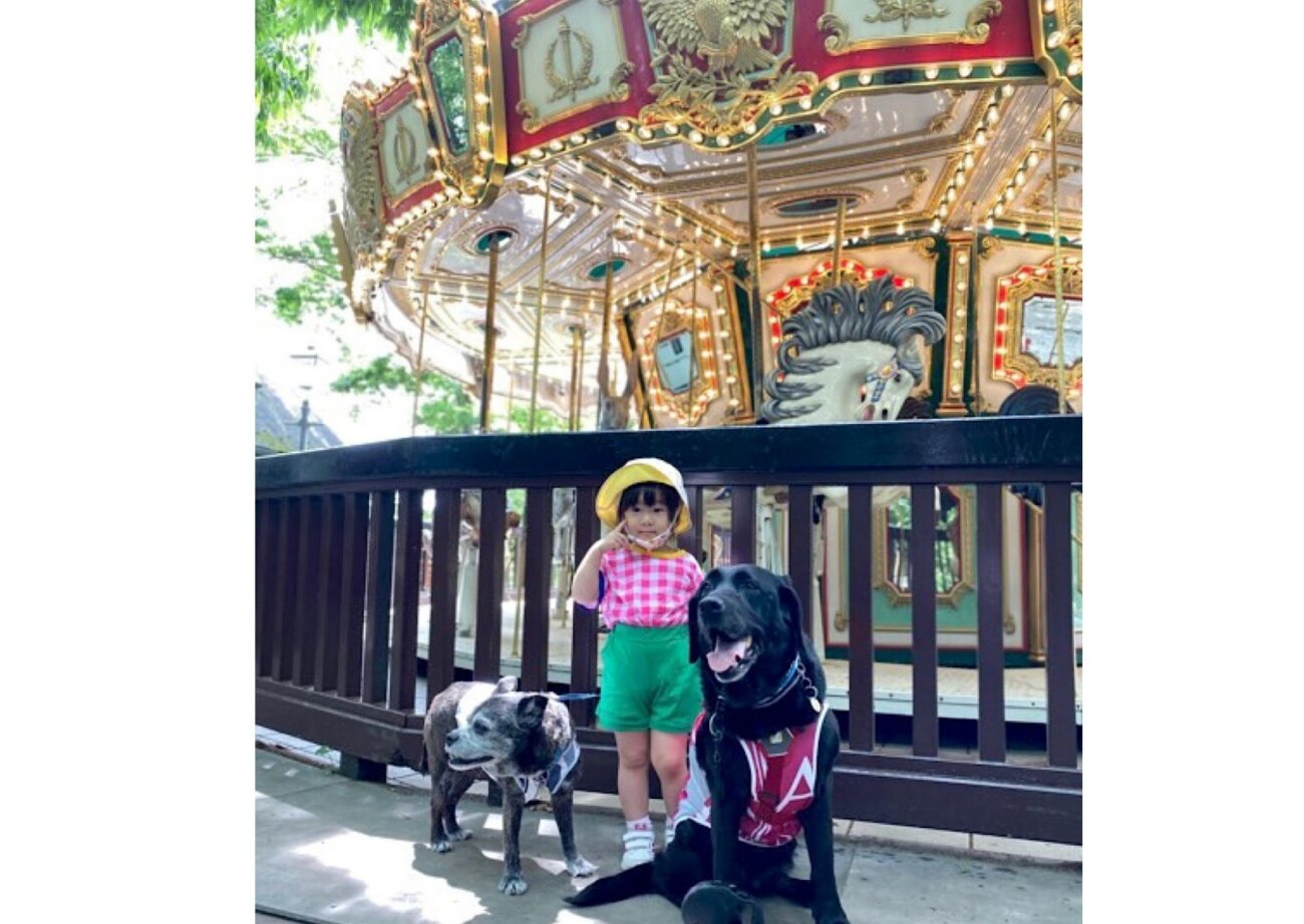 黒ラブとその家族