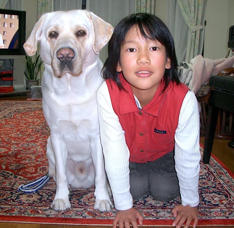 レトリーバーと家族