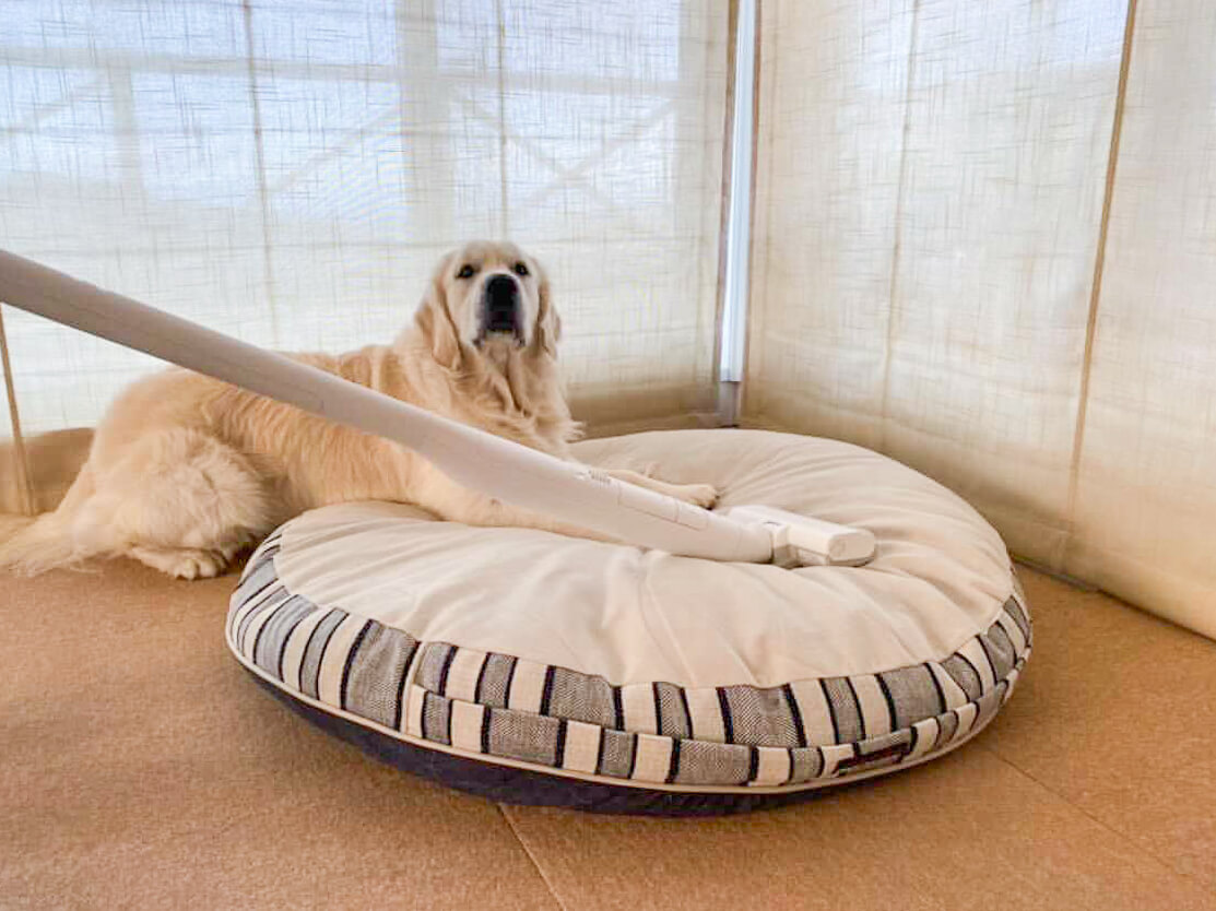 レトリーバー,パナソニック,からまないブラシ,掃除機