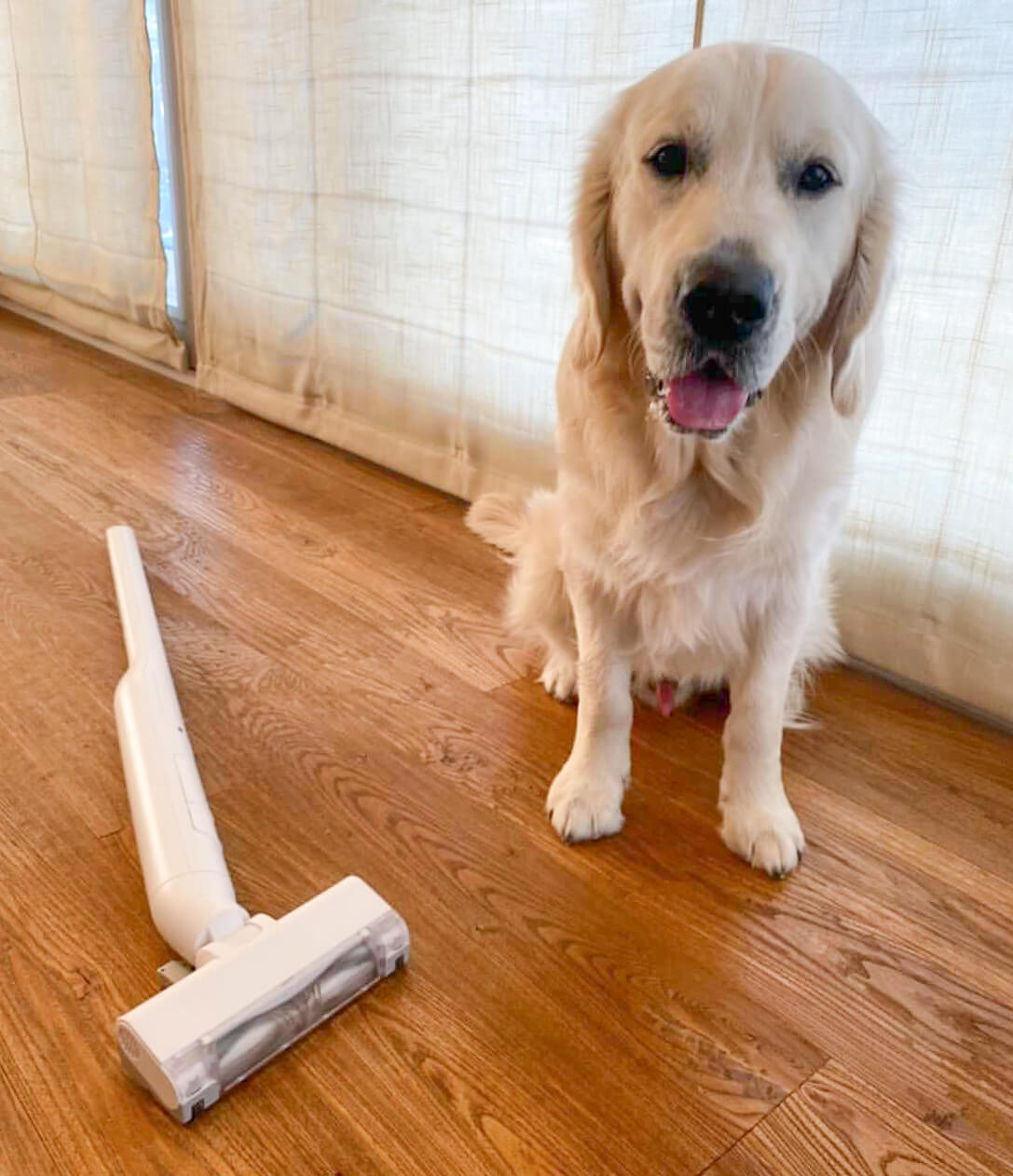 レトリーバー,パナソニック,からまないブラシ,掃除機