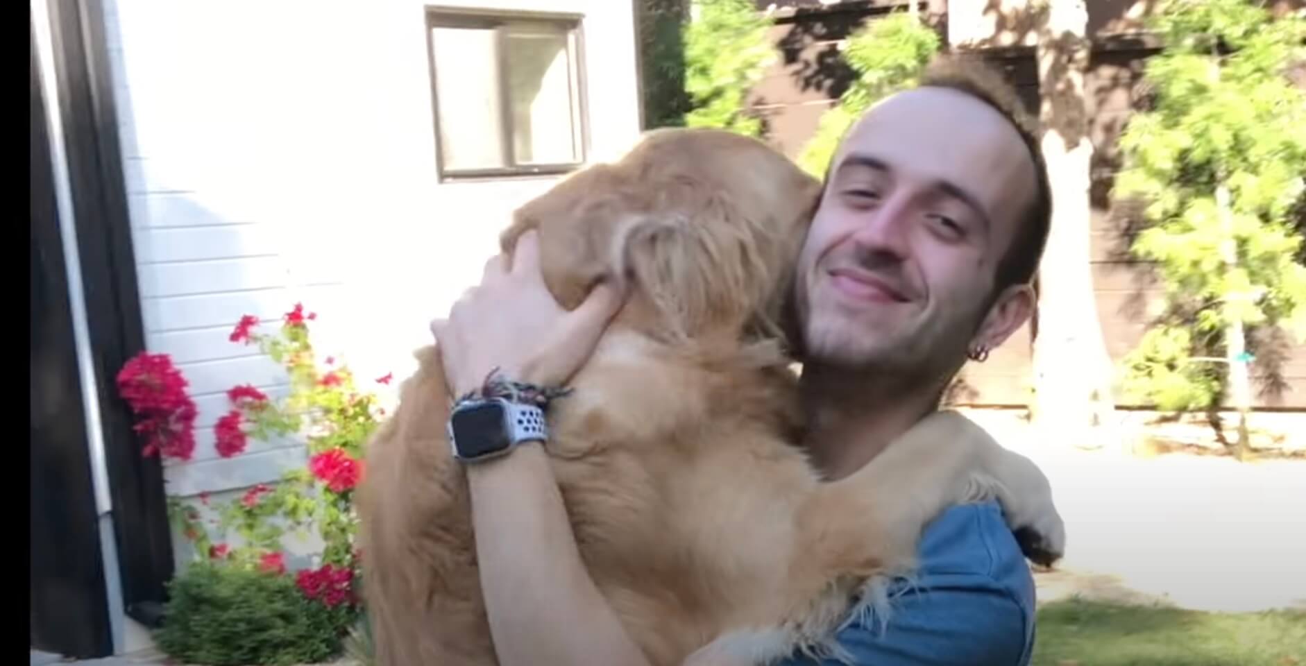 ゴールデンレトリーバー,動画