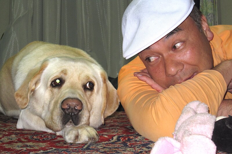 レトリーバーと家族