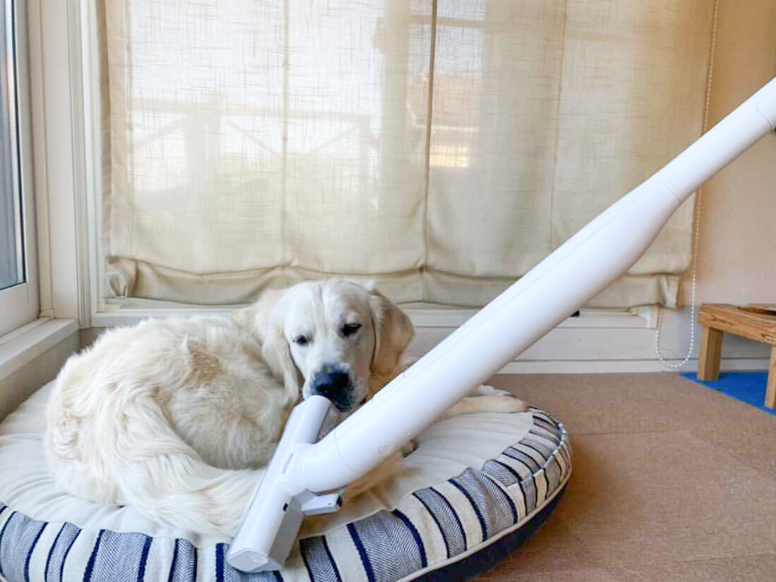 レトリーバー,パナソニック,からまないブラシ,掃除機